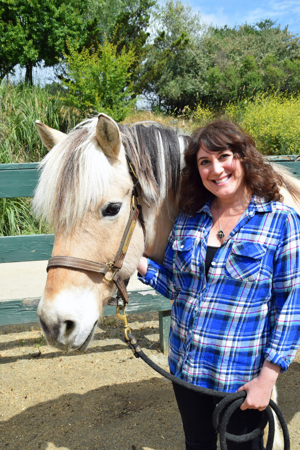 Ncefts Team Nceft National Center For Equine Facilitated Therapy