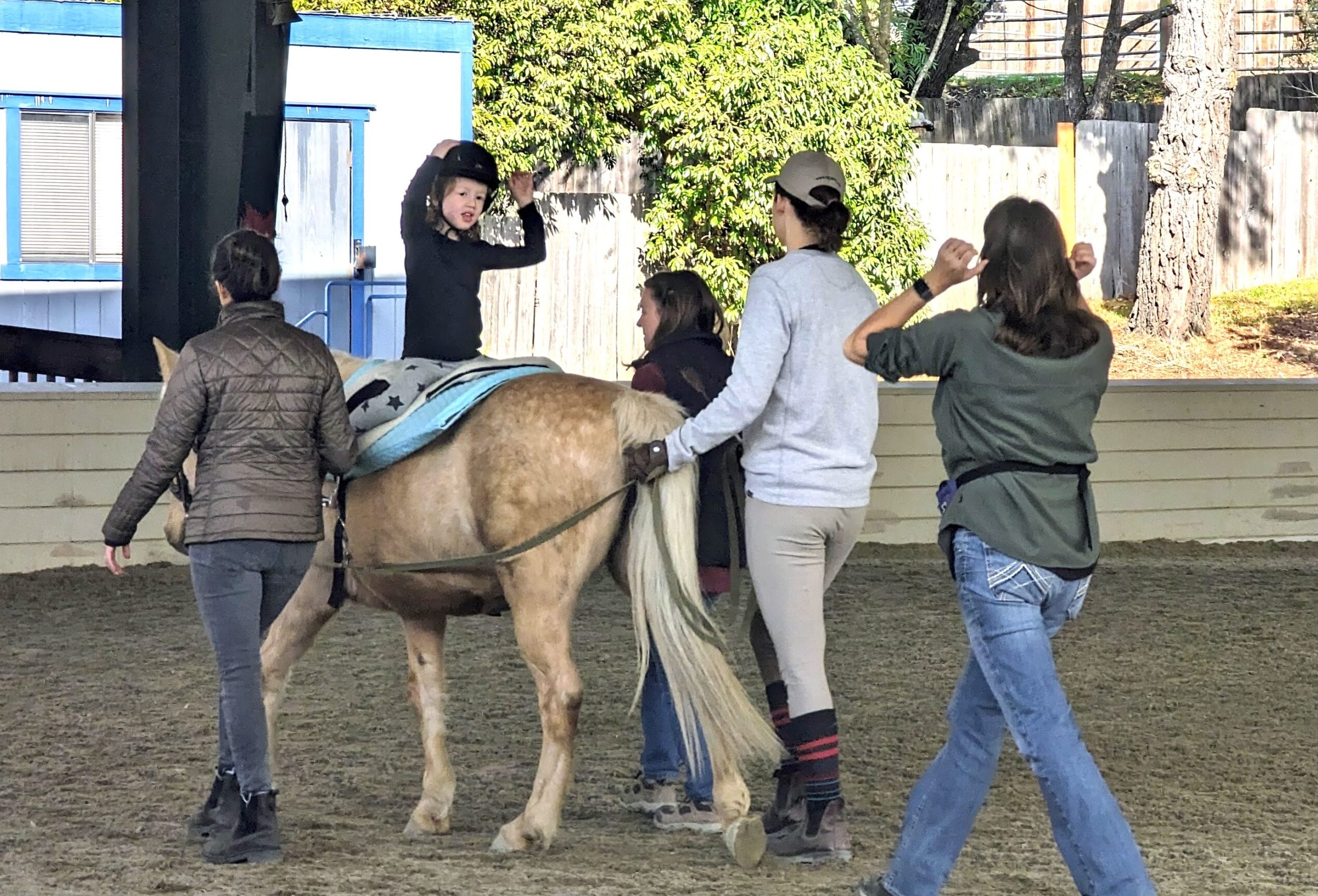 Horse Handler MHR Careers page NCEFT National Center for Equine