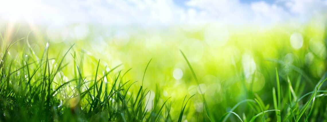 2026 Spring Campaign